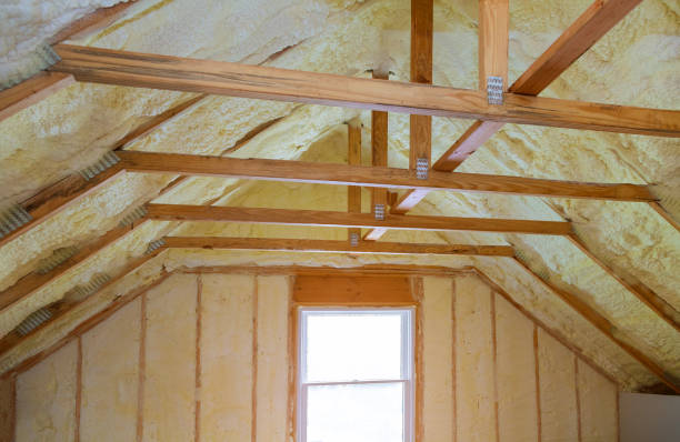 Best Insulation Maintenance and Repair in Centuria, WI