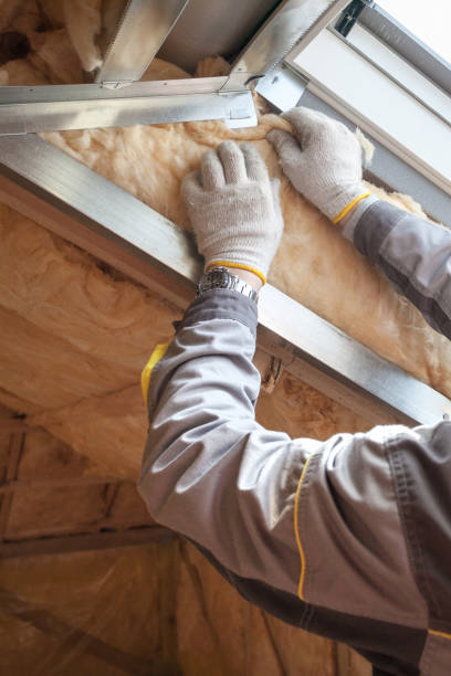 Best Insulation Installation Services in Centuria, WI