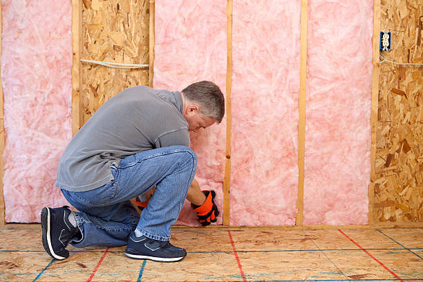 Best Insulation Installation Services in Centuria, WI