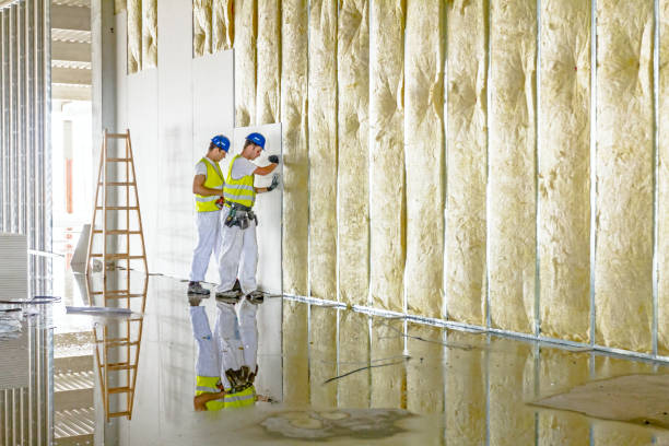Best Residential Insulation in Centuria, WI